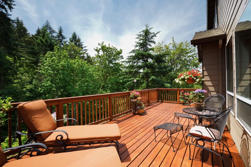 Fence and Deck