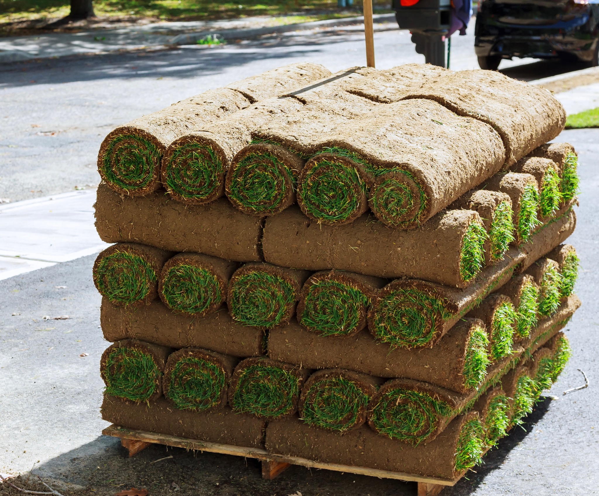Grass & Sod