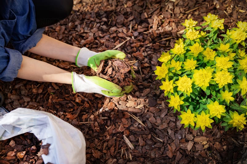 Garden Bed Maintenance