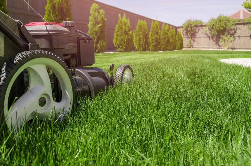 Lawn Care