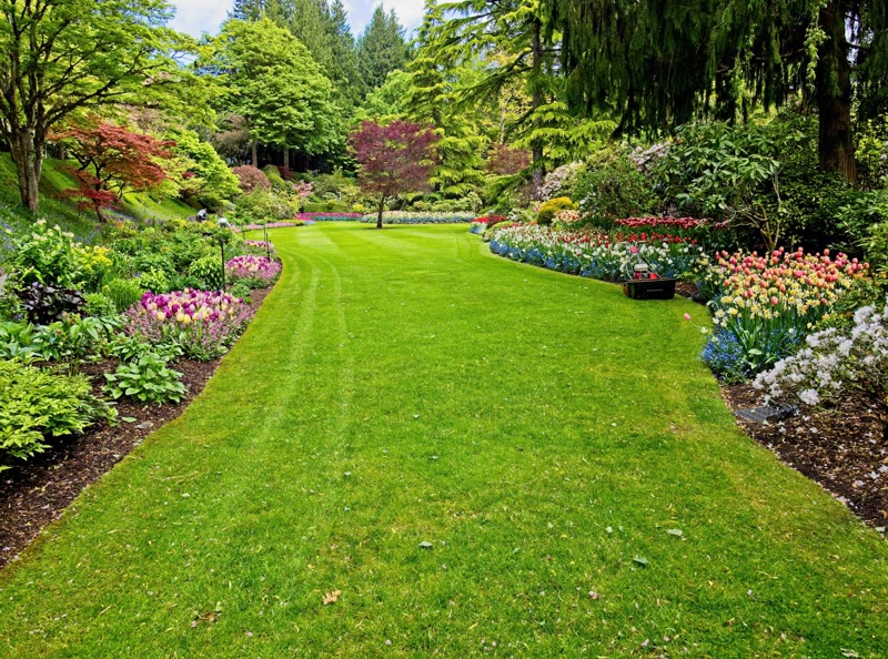 Spring and Fall Clean Ups